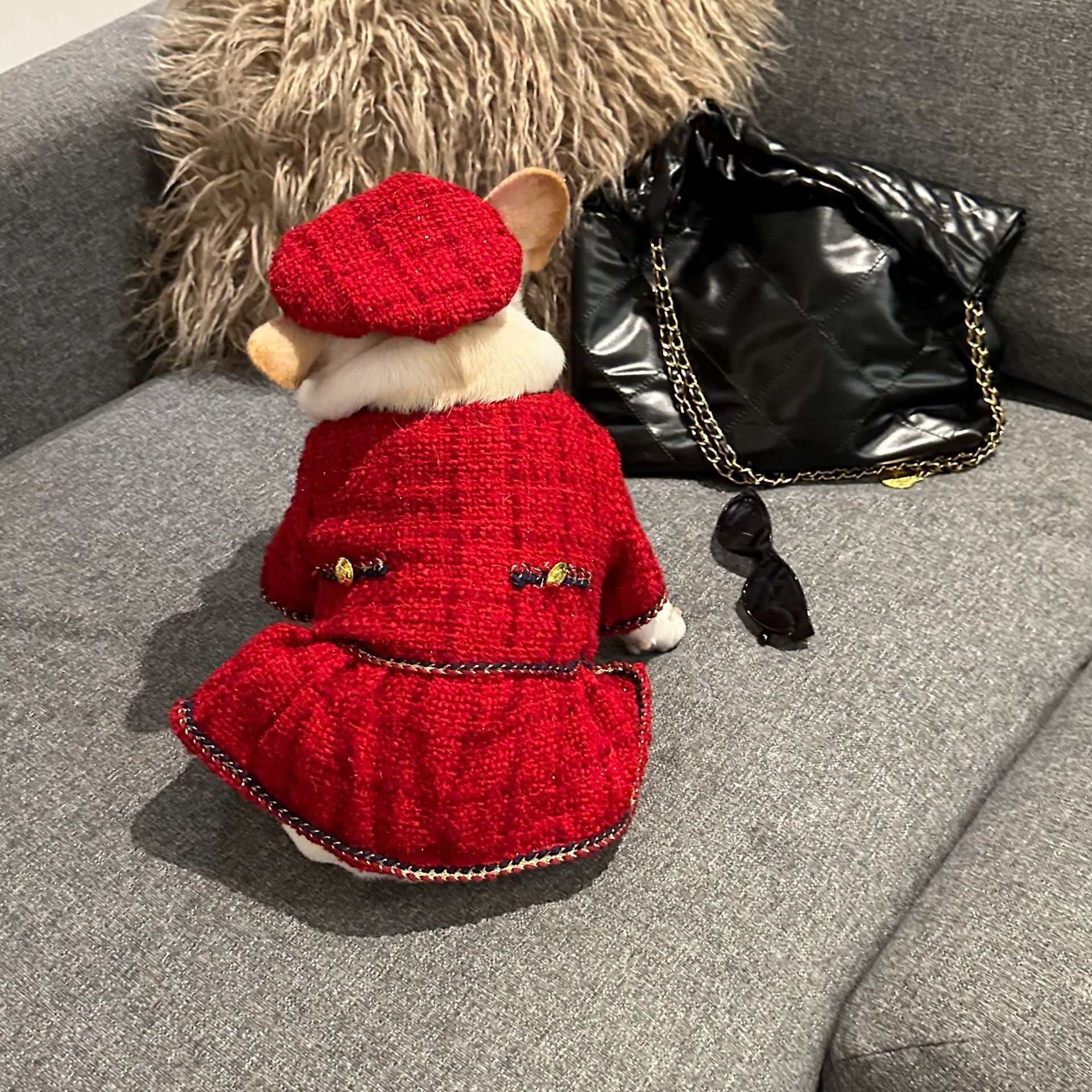 Pet Trendy Brand Popular Clothing - Image 9